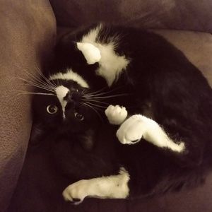 Meet your Posher, Adam